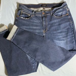 Judy Blue Skinny Size 18